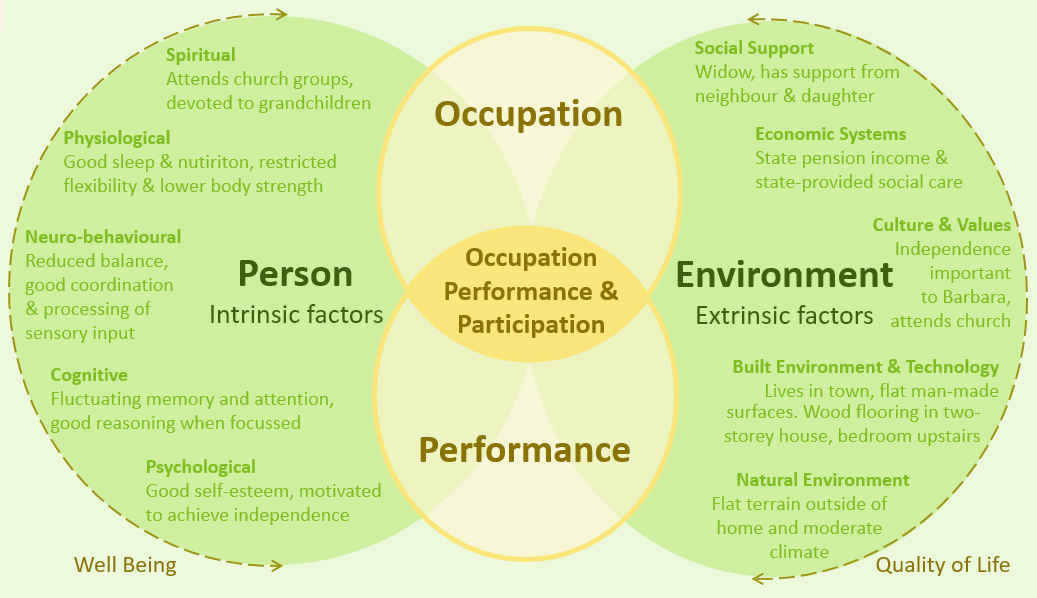 Applying the Canadian Model of Occupational Performance