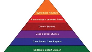 Social research methods literature review
