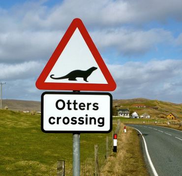 otter triangle sign