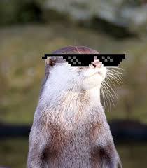 thug life otter